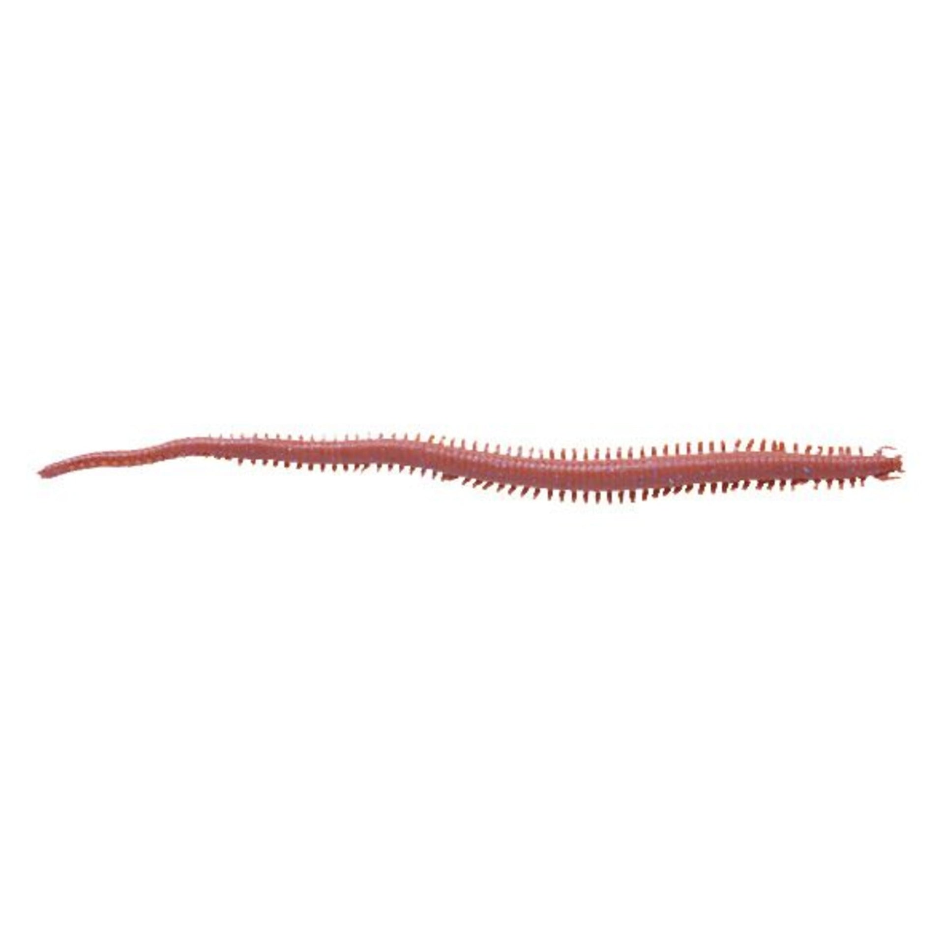 Berkley Gulp!® Sandworm (Néréïs)