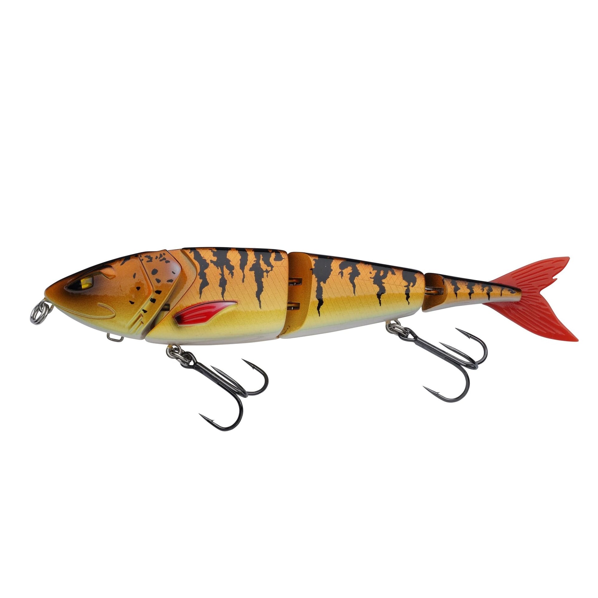 Berkley Zilla Swimmer