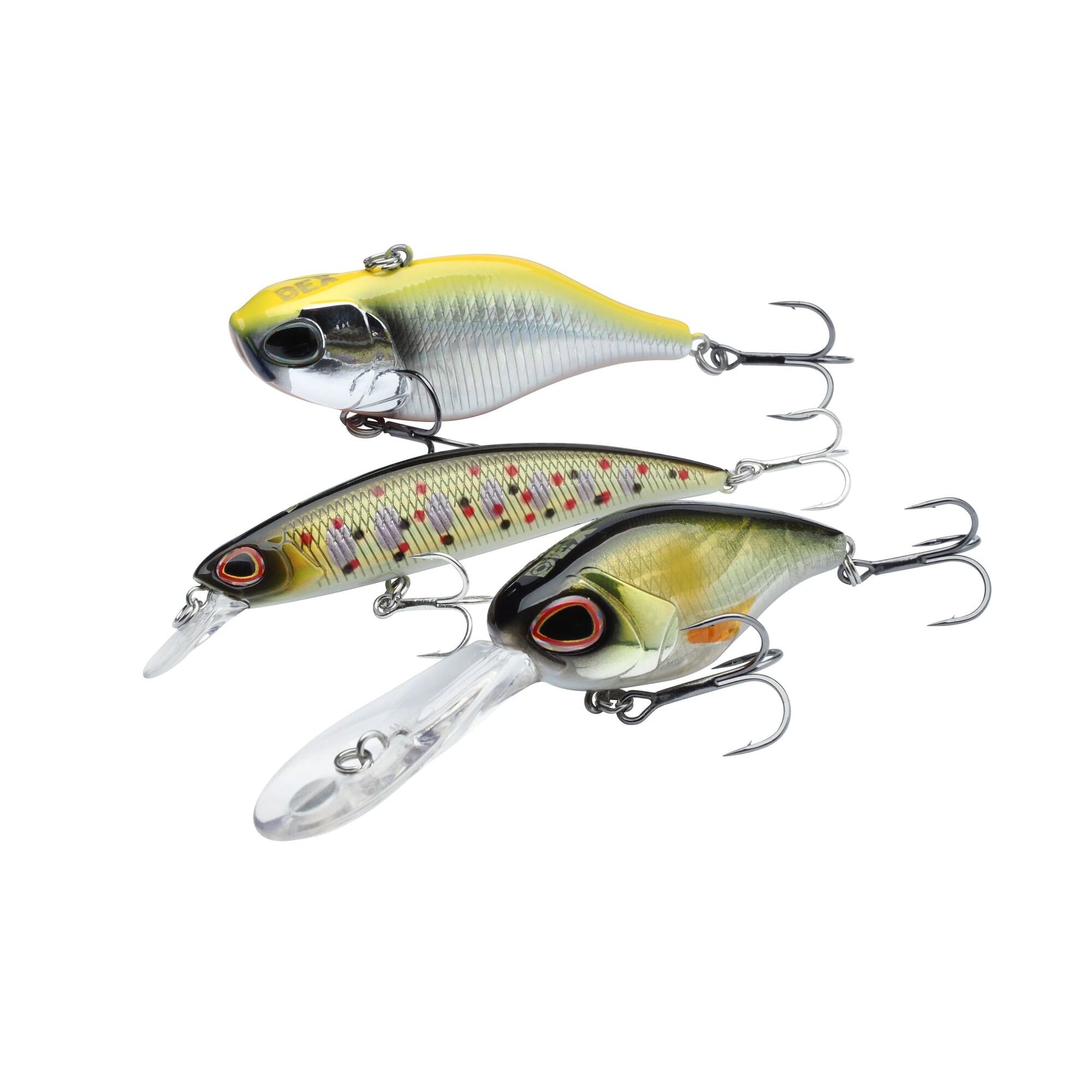 Berkley DEX Gift Box