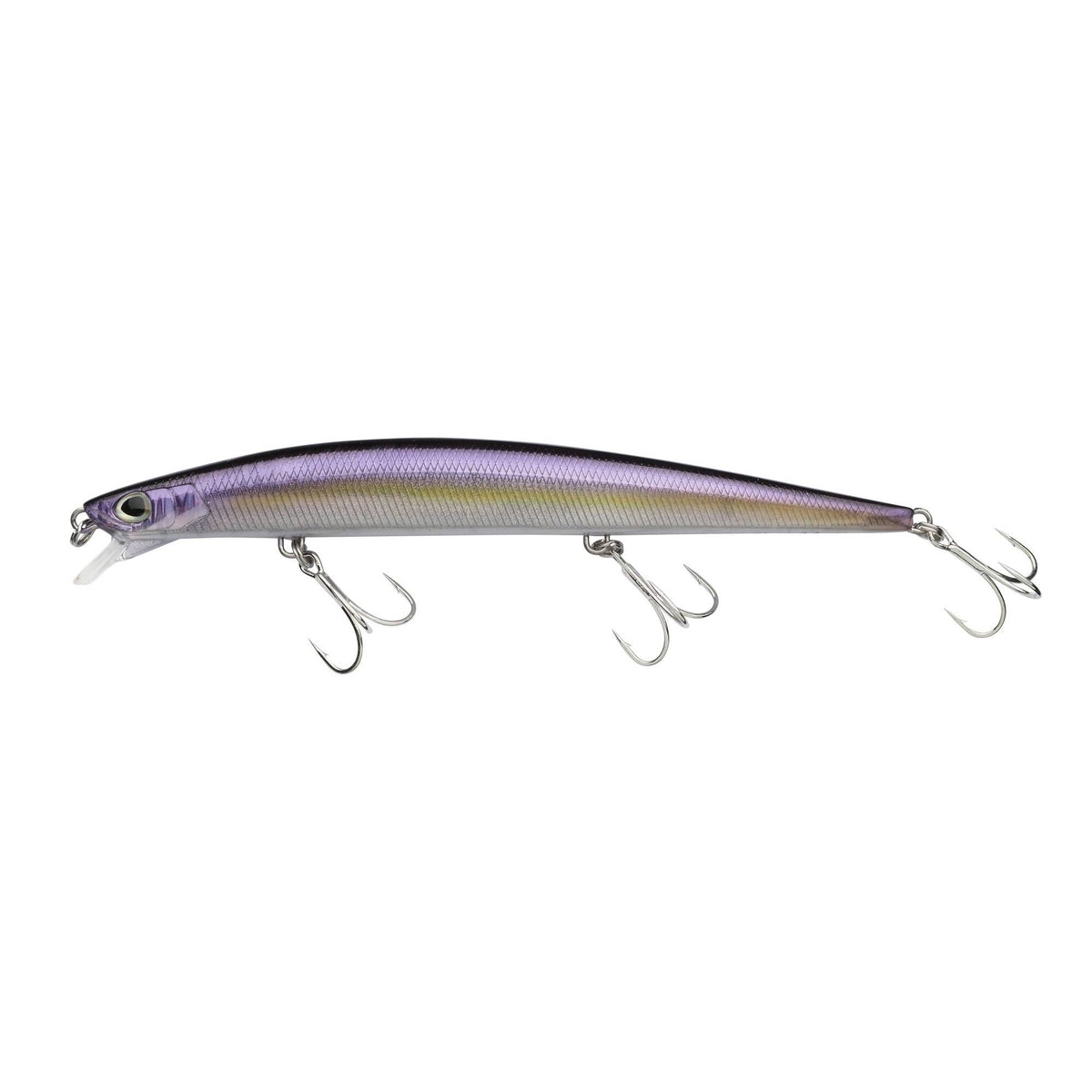 Berkley DEX Long Shot