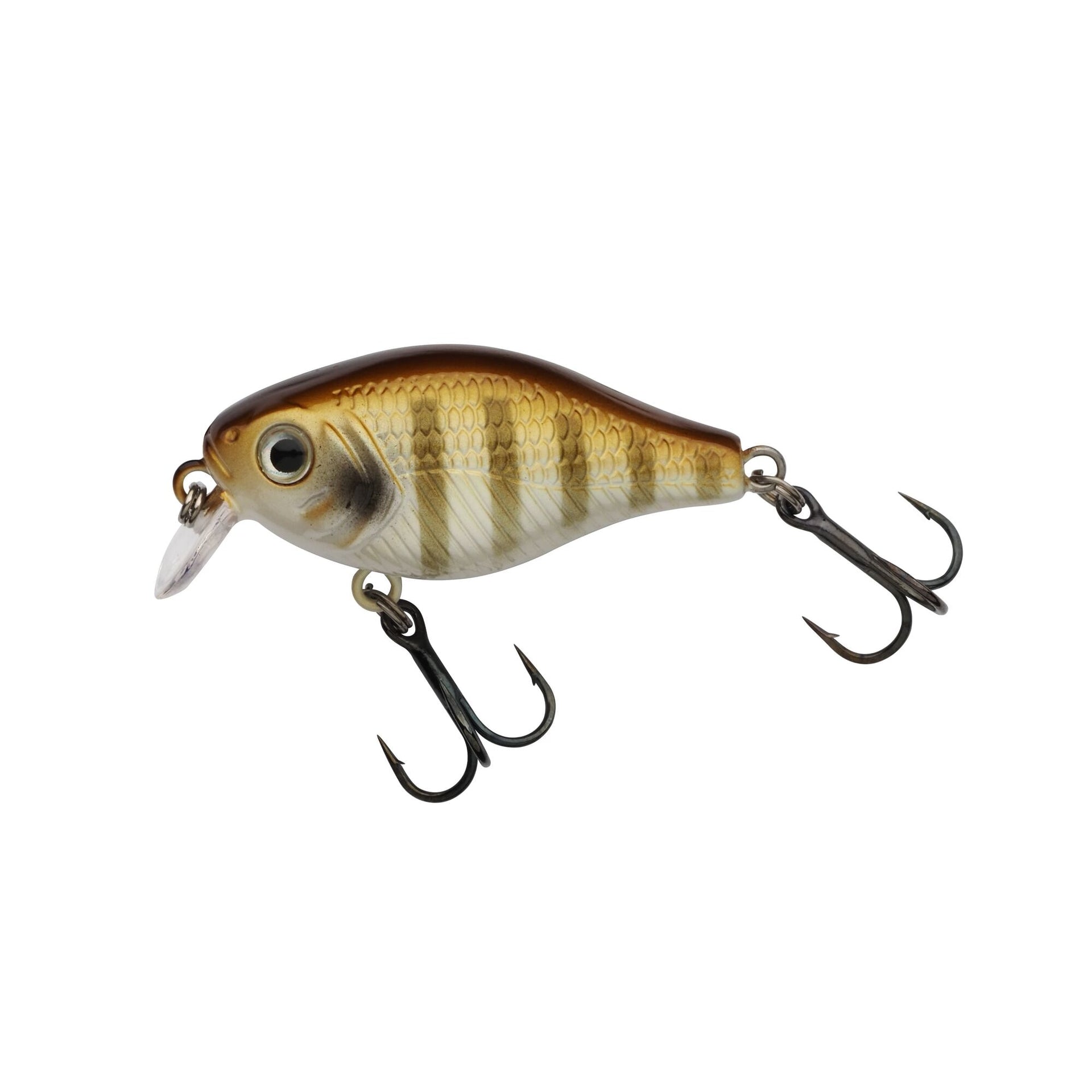 Berkley Pulse Fry Shallow