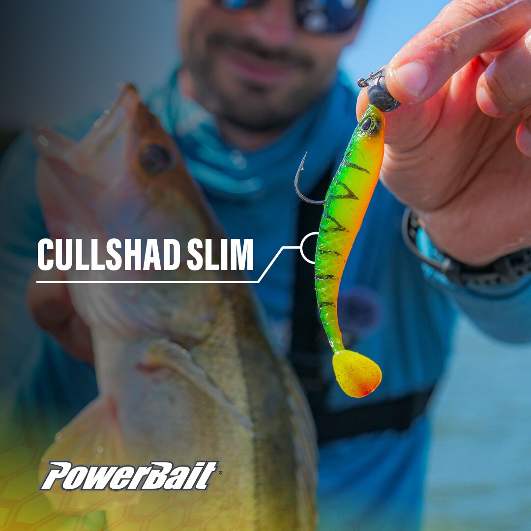An out of focus image of an angler in blue holding a fish in one hand. The other hand, in focus, holding a small softbait by the ball-jig out towards the camera.
The softbait has a white line coming off it with the title above CULLSHAD SLIM. In the bottom left of the image there's a PowerBait text logo for Berkley. 