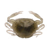 Gulp!® Saltwater Peeler Crab